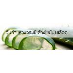 ผิวสวย หลอดเลือดสะอาด ด้วย "ว่านหางจระเข้"