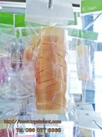 ริบบิ้น สีทอง สำหรับผูกลูกโป่ง ยาว 10 เมตร - Ribbon Gold Color For Balloon
