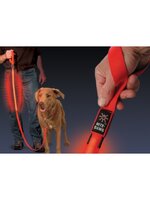 สายจูงสุึนัขและพร้อมปลอกคอ LED Multi-color ไฟเปลี่ยนสีได้หลายสี