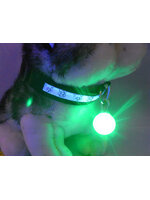 ไฟกระพริบ LED Clip on จี้ห้อยคอ สีเขียว ห้อยพวงกุญแจ ป้ายห้อยคอสุนัขและแมว