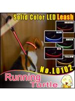 สายจูงสุึนัขและพร้อมปลอกคอ LED สีส้ม