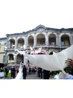 Dove Balloon - บอลลูนนกโดฟ ตัวใหญ่สีขาว / Item No. TL-B010