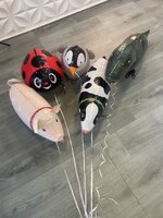 Set#26 บอลลูนสัตว์ Walking Balloon จำนวน 10 ใบ (คละแบบได้) อัดก๊าซฮีเลียมปลอดภัย ไม่ติดไฟ