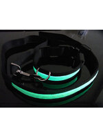 สายจูงสุึนัขและพร้อมปลอกคอ LED สีเขียว