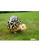 Turtle Walking Balloons - คุณเต่าน้อยบอลลูน / TL-K012