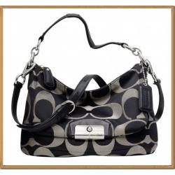 Coach Kristin Signature East-West Crossbody 22302