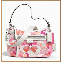 Coach Daisy Kaleidoscope Print Crossbody 24025