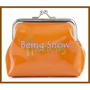 กระเป๋าใส่เหรียญ (Coin purses)