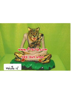 ฤาษีหน้าเสือ 12"