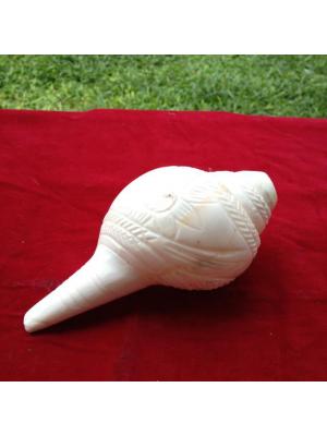 สังข์เป่า 6 นิ้ว