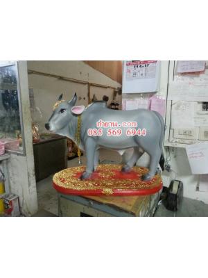 วัว 20 นิ้ว