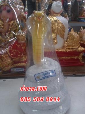 งูใหญ่ 7"