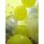 ลูกโป่งกลมสีใส พิมพ์ลายดาว ไซส์ 12 นิ้ว แพ็คละ 10 ใบ (Round Balloons 12" - Printing Star Clear latex balloons)