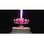 New! เทียนวันเกิดดอกไม้ มีเสียงเพลง-Music HBD Candle/ Item No. TL-N009