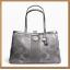 Coach Signature Stripe 3 Color Metallic Framed Carryall 20427