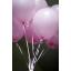 ลูกโป่งกลม สีชมพู ไซส์ 9 นิ้ว แพ็คละ 10 ใบ ( Round Balloons 9" - Pink Standard Color )