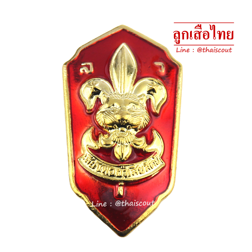 เหรียญเรซิ่น รองผู้กำกับลูกเสือวิสามัญ (อัน)