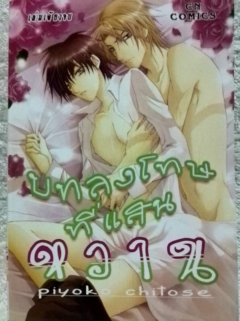บทลงโทษที่แสนหวาน (เล่มเดียวจบ)