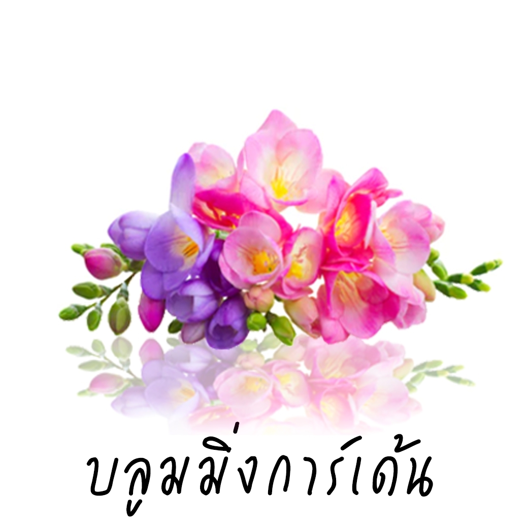 Scentnature ก้านไม้หอมอโรม่าปรับอากาศScentnature กลิ่น Blooming Garden