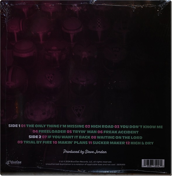 Soul Asylum - Slowly But Shirley 1Lp New