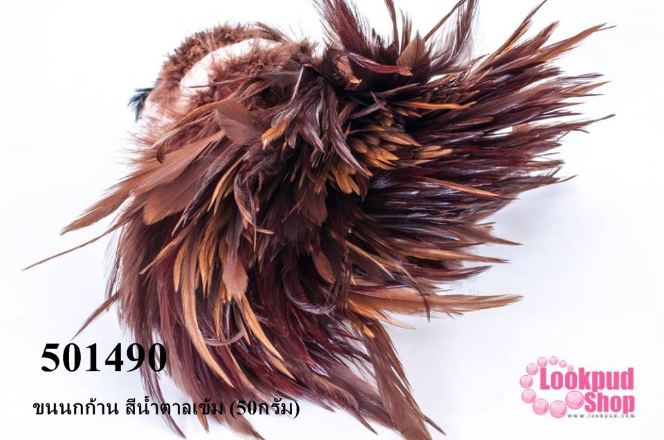 ขนนกก้าน สีน้ำตาลเข้ม (50กรัม)
