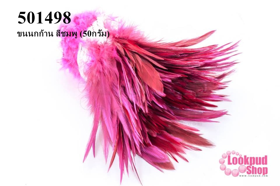 ขนนกก้าน สีชมพู (50กรัม)