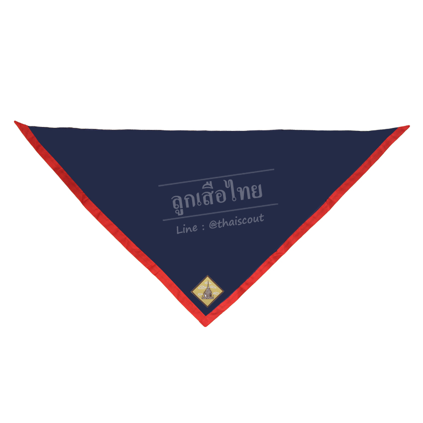 ผ้าพันคอลูกเสือสำรอง ติดตราจังหวัด(โหล) T