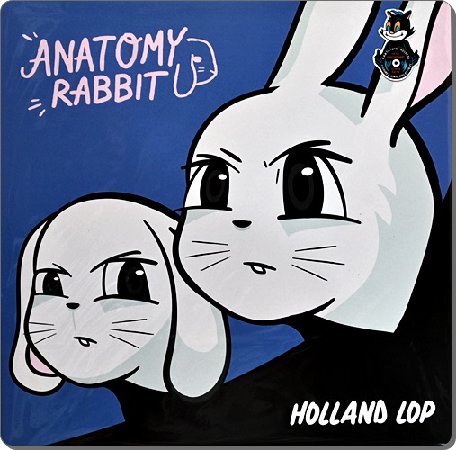 Anatomy Rabbit - Holland Lop 1Lp New