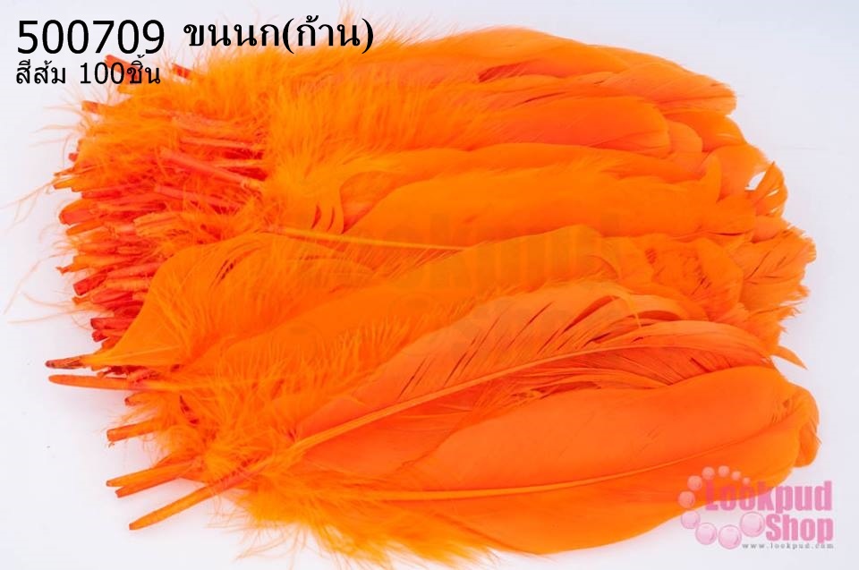 ขนนก(ก้าน) สีส้ม 100ชิ้น