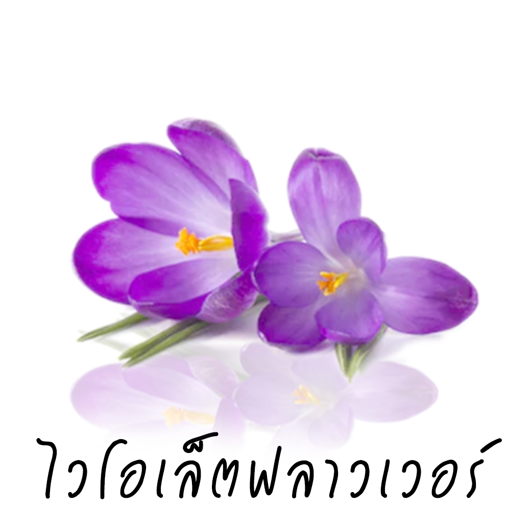 Scentnature ก้านไม้หอมอโรม่าปรับอากาศScentnature กลิ่น Violet Flower