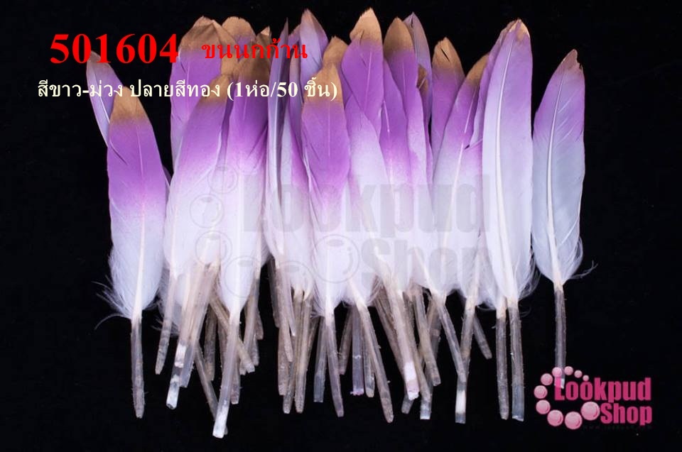 ขนนกก้าน สีขาว-ม่วง ปลายสีทอง (1ห่อ/50 ชิ้น)