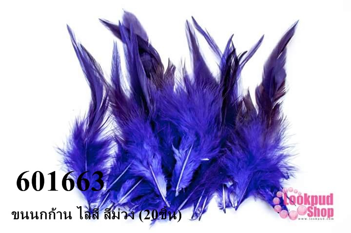 ขนนกก้าน ไล่สี สีม่วง (20ชิ้น)