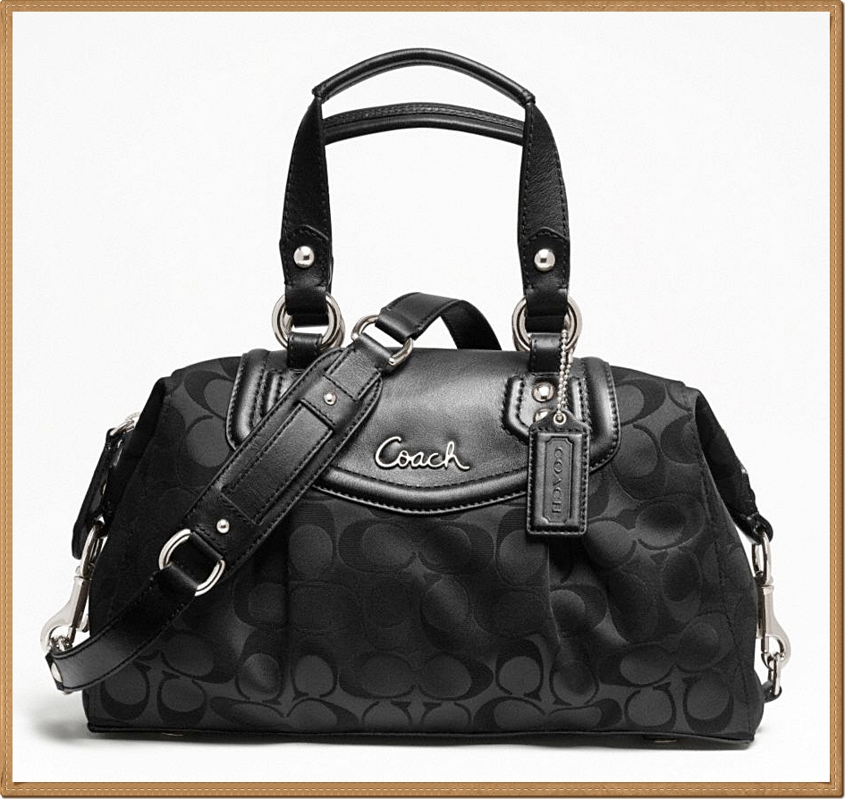 Coach Ashley Signature Satchel 19242 - Black
