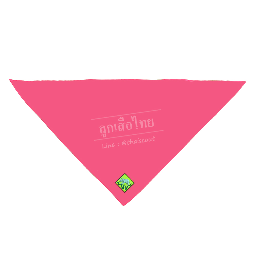 ผ้าพันคอลูกเสือ-เนตรนารีติดตราจังหวัด ขนาดเล็ก (แซกตรา)(โหล)