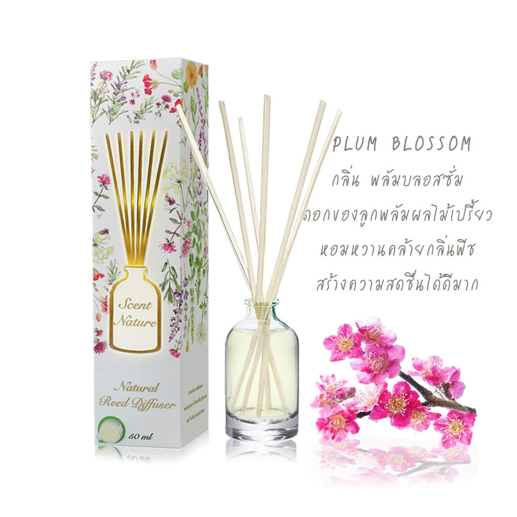 Scentnature ก้านไม้หอมอโรม่าปรับอากาศScentnature กลิ่น Plum Blossom