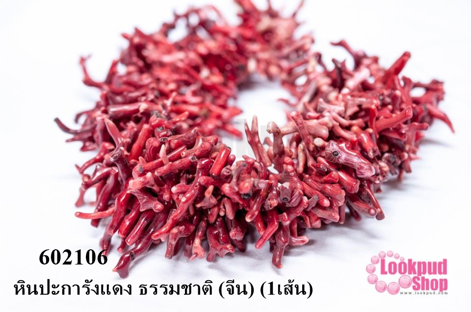 หินปะการังแดง ธรรมชาติ (จีน) (1เส้น)