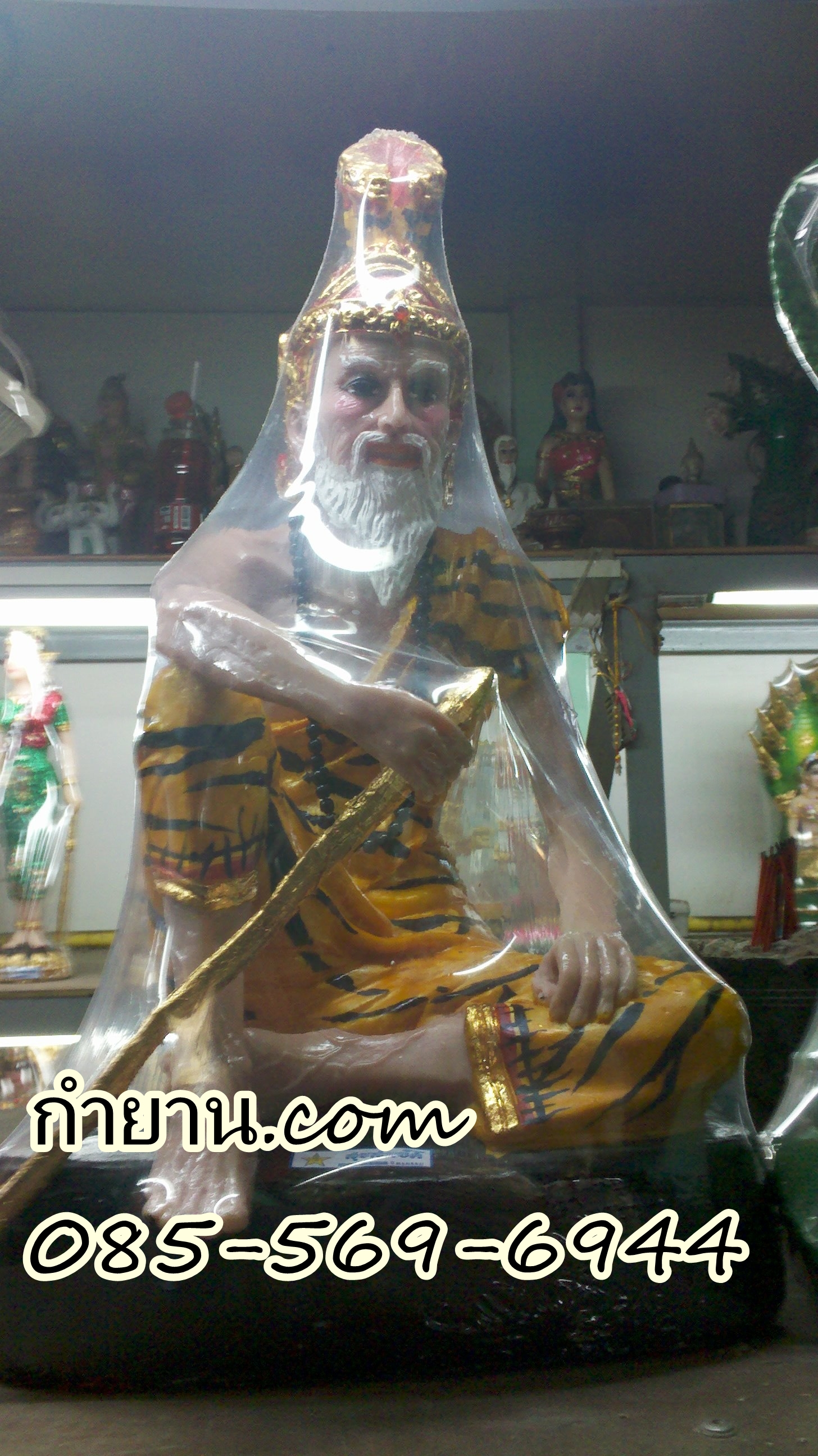 ฤาษีไม้เท้า 9"