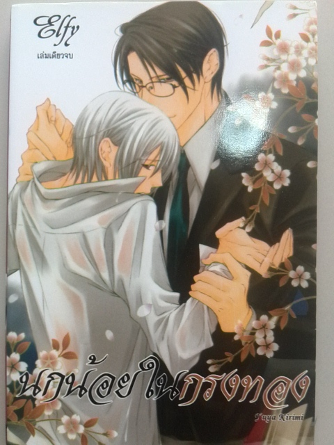 นกน้อยในกรงทอง (เล่มเดียวจบ)