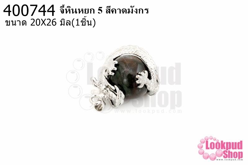 จี้หินหยก 5 สีคาดมังกร 20X26มิล (1ชิ้น)