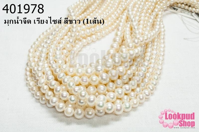 มุกน้ำจืด เรียงไซส์ สีขาว (1เส้น)