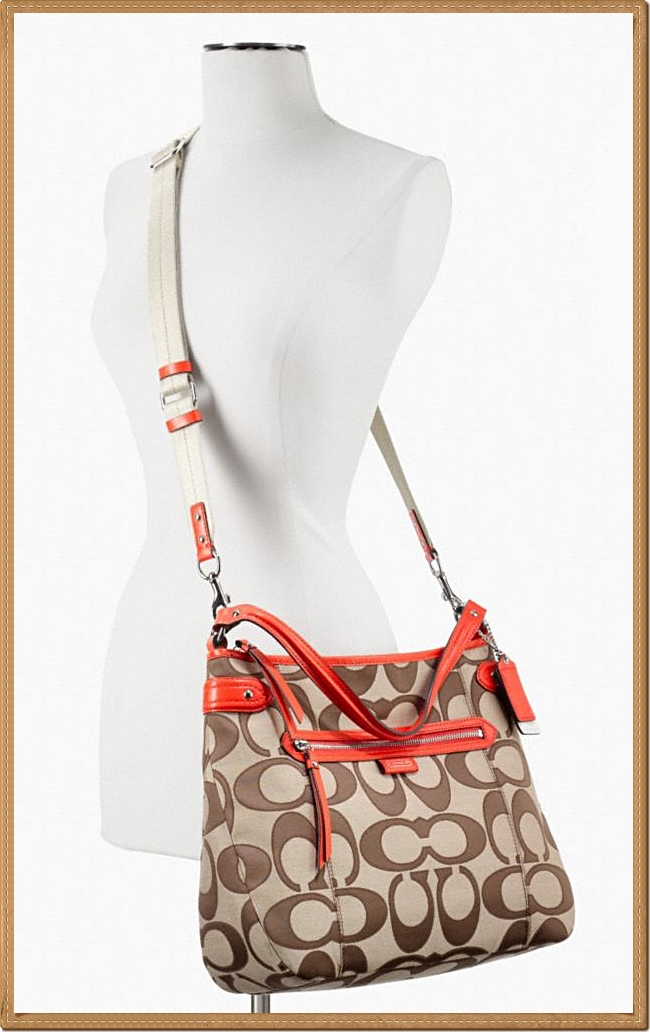 Coach Daisy Outline Signature Convertible Hobo 24062