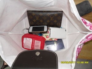 ช่องจัดระเบียบกระเป๋า longchamp size M