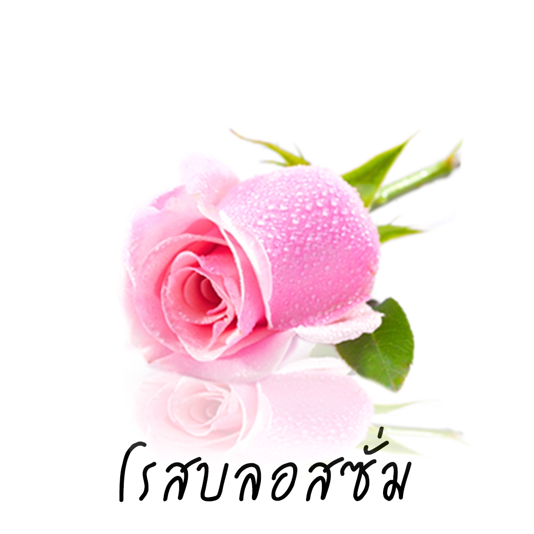 Scentnature ก้านไม้หอมอโรม่าปรับอากาศScentnature กลิ่น Rose Blossom