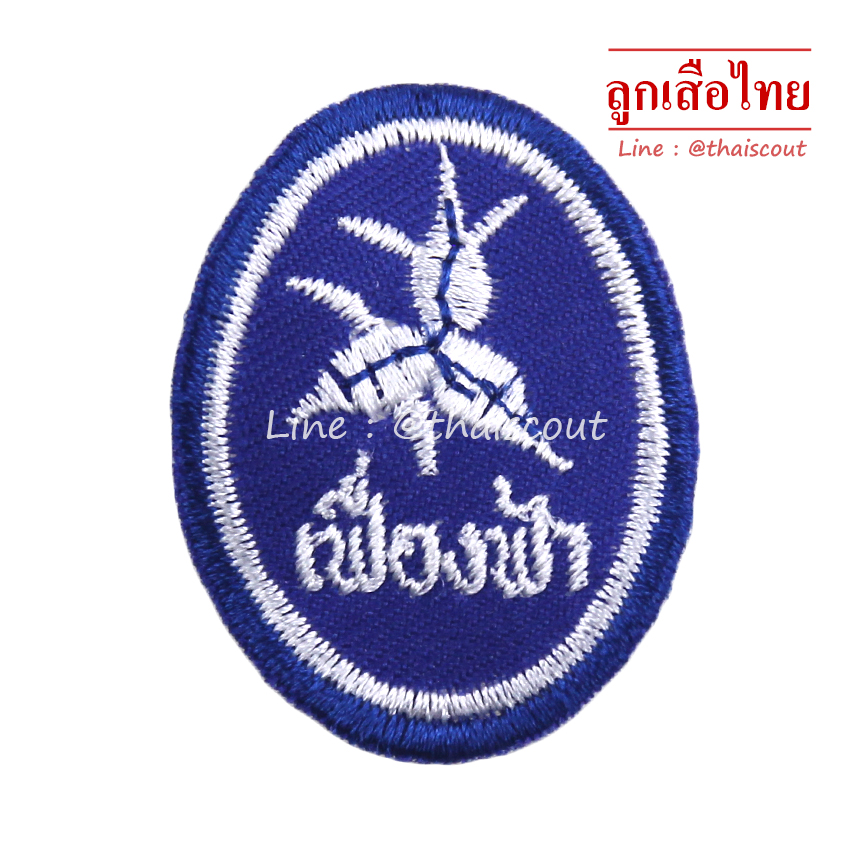 ซิกหมู่ดอกเฟื่องฟ้า (ห่อละ 10 อัน)
