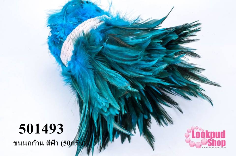 ขนนกก้าน สีฟ้า (50กรัม)