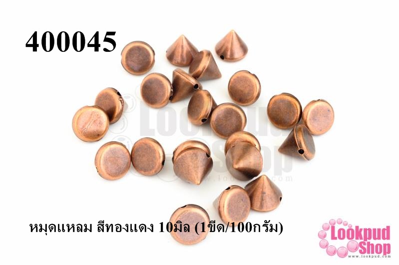 หมุดแหลม สีทองแดง 10มิล (1ขีด/100กรัม)