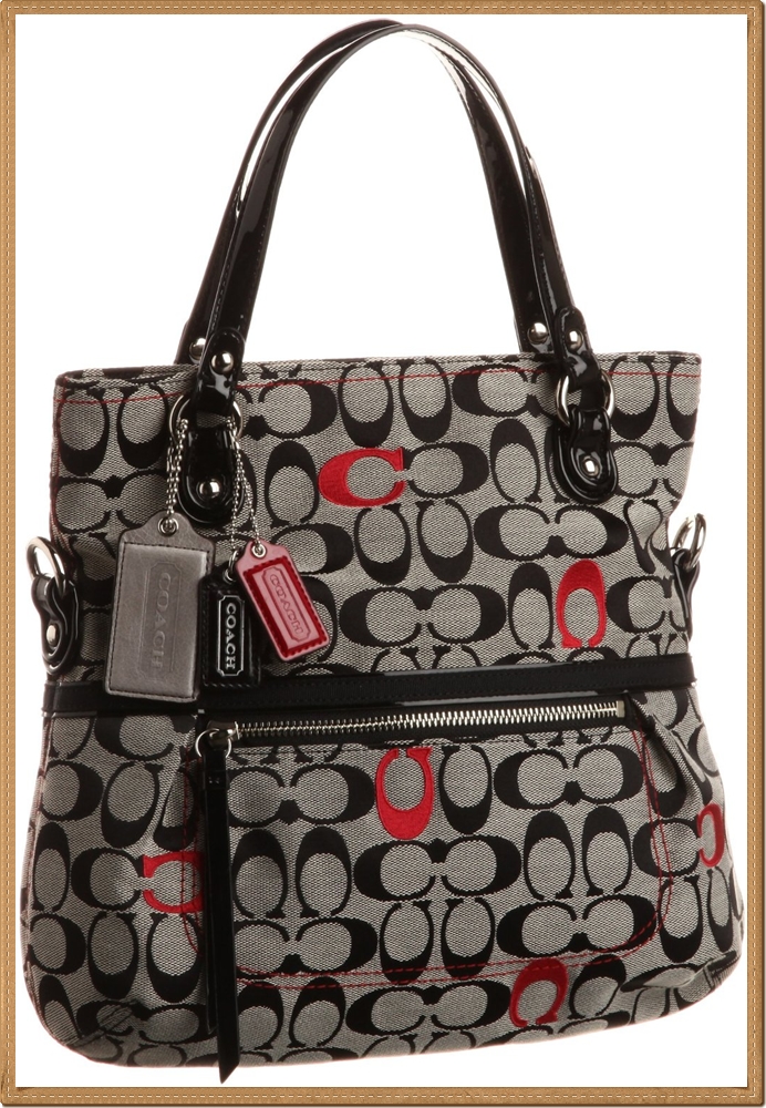 Coach Poppy Embroidered Signature Foldover Crossbody 21189