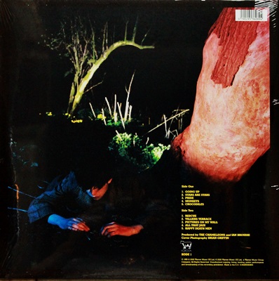 Echo And The Bunnymen - Crocodiles 1Lp N.