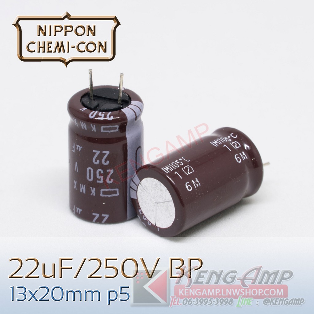 (1ตัว) [E-CAP] 22uF/250V NIPPON 13x20mm P=5