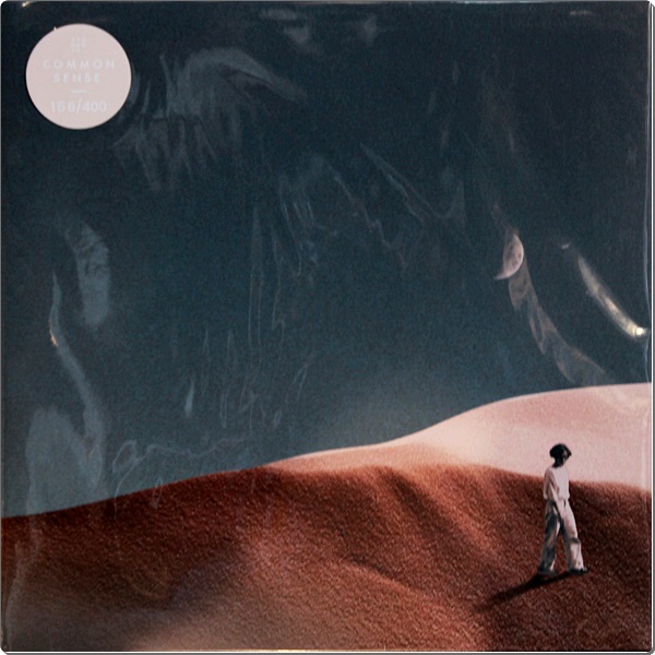 Stoondio - Common Sense 1Lp New
